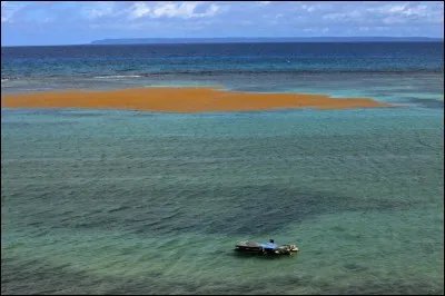 D'où la mer des Sargasses tient-elle son nom ?