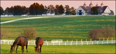 Quelle est la capitale du Kentucky ?