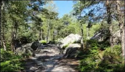 Quelle est cette forêt de 25 000 hectares où l'on peut voir beaucoup de chênes, pins sylvestres et hêtres ?