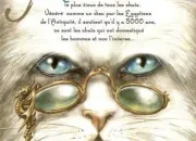 Test Quel chat enchant es-tu ?