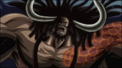 Qui est Kaido ?