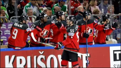 Lequel de ces pays n'a pas participé au hockey sur glace ?