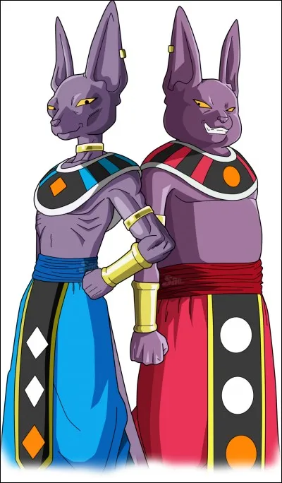 Quel lien relie Beerus et Champa ?