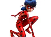 Quiz 'Miraculous, les aventures de Ladybug et Chat Noir'