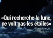 Quiz Proverbes franais. - (1)