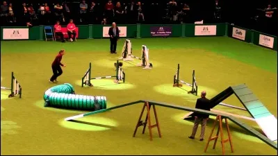 Qu'est-ce que l'agility ?