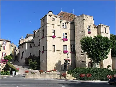 Je suis un village du département des Alpes-de-Haute-Provence, dans la vallée de la Durance. Je suis...