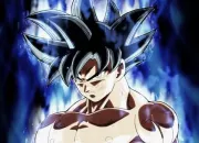 Quiz Quiz Dragon Ball Super, arc Survie de l'Univers