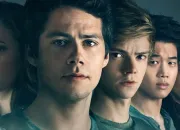 Quiz Film  Le Labyrinthe  (The Maze Runner) 1, 2 et 3