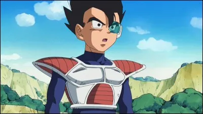 Comment s'appelle le frère de Vegeta ?