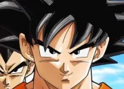 Quiz Quiz sur Goku