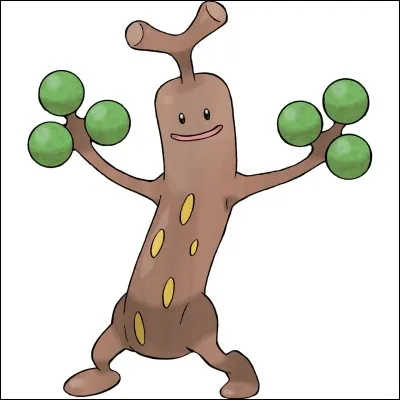 Quel est le type de ce Pokémon ?