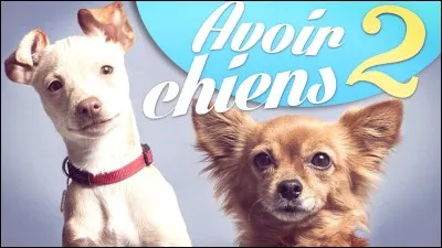 Comment s'appellent ses deux chiens ?