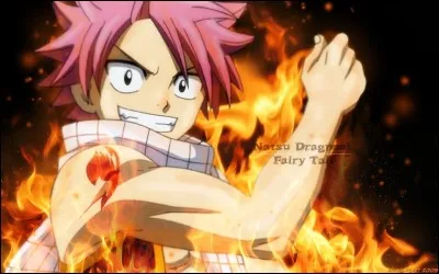 Quel est le nom de famille de Natsu ?