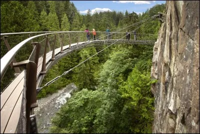 S'élevant à 70 mètres au-dessus du fleuve Capilano, le pont suspendu de Capilano, long de 137 mètres, est situé dans la province ...