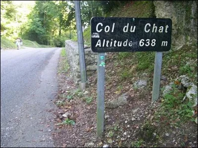 De vous à moi, sachez que le col du « Chat » n'aurait en fait rien à voir avec l'animal... mais avec un roi celte légendaire « Caturix ». Mais où est-il situé ?