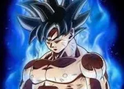 Quiz Quiz  Dragon Ball Super 