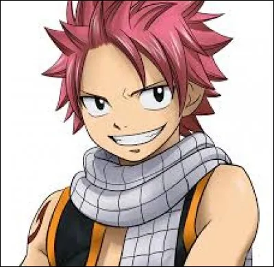 Natsu est un mage de ...