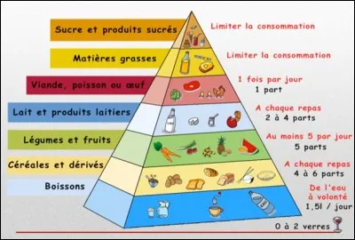 Quel est le repas le plus équilibré ?