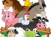 Quiz Les animaux en anglais, sauce nwt !