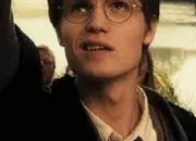 Quiz James Potter