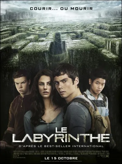 Comment s'appellent entre eux les personnes qui vivent dans le labyrinthe ?