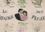 Quiz Et fleurons le langage des fleurs (I)