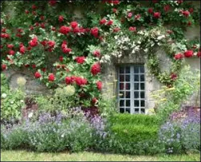 Qui a chanté : 'Viens à la maison, y'a le printemps qui chante' ?