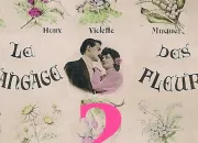 Quiz Et fleurons le langage des fleurs (II)