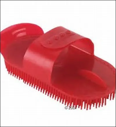 Quelle est cette brosse ?