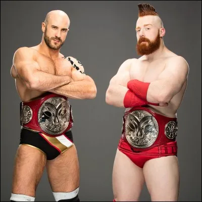 Quel est le nom de l'équipe qui est constituée de Cesaro et Sheamus ?