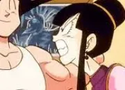 Quiz Dragon Ball - Les amoureux