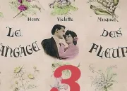 Quiz Et fleurons le langage des fleurs (III)