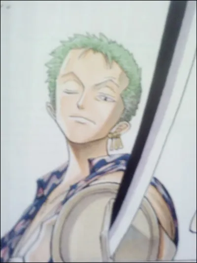 Quel est le nom de Zoro ?