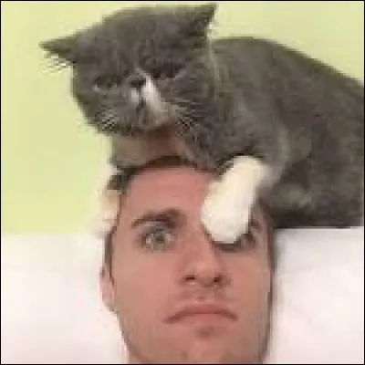 Quel est le nom du chat de Squeezie ?