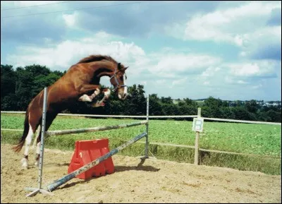 Combien de phases comporte le saut ?