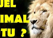 Test Quel animal es-tu ?