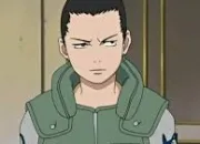 Quiz Naruto : Shikamaru Nara