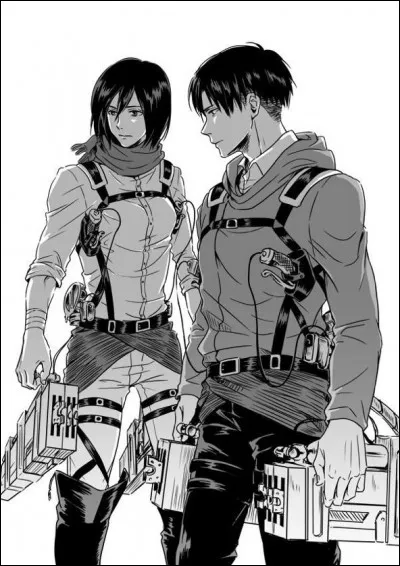 Quel est le lien de parenté entre Livaï et Mikasa ?