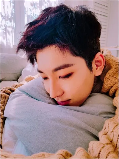 Quelle est la couleur préférée de Wonwoo ?