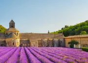 Quiz Le provenal  travers la musique