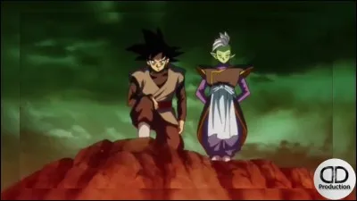 Comment s'appelle le méchant Goku ?