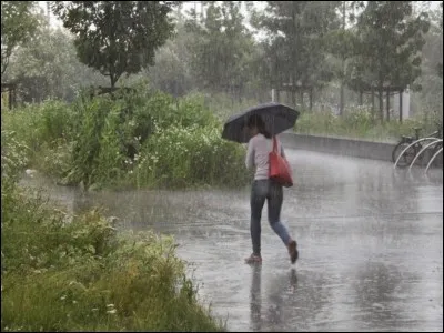 Qu'aimes-tu faire pendant un jour de pluie ?