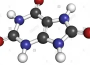 Quiz Atomes et molcules