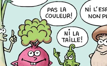 Quiz Enfants