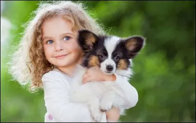 Le chien est la première espèce animale à avoir été domestiquée par l'homme.