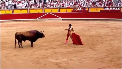 Le rouge énerve le taureau.