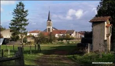 Commençons avec Fléville-devant-Nancy (Meurthe-et-Moselle) et ses habitants portant le gentilé ...