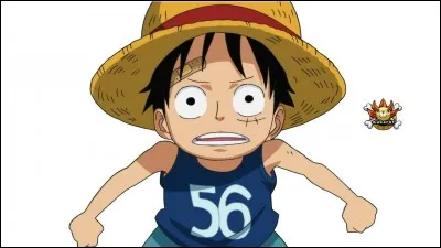 Comment s'appelle la personne qui s'est occupée de Luffy pendant son enfance ? (une ou plusieurs réponses attendues)