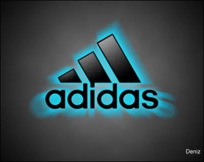 À qui appartient cette marque de vêtements ? adidas